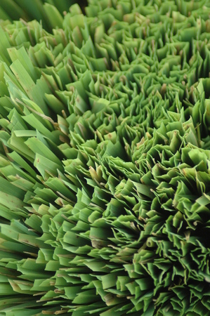 Chopped rice Botteの写真素材