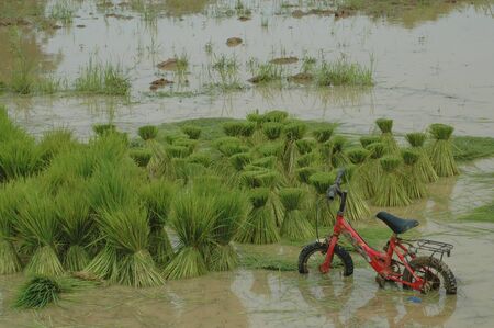 Unusualの写真素材