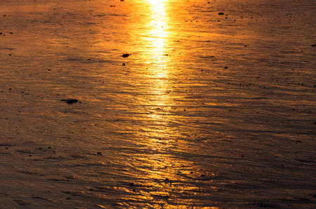 Rocks on the beach