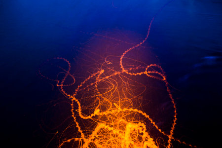 Insects in the lightの写真素材