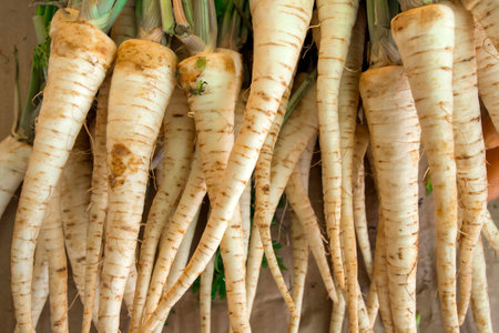 White carrotの写真素材