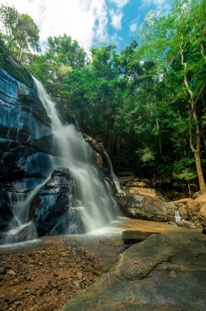 Waterfall in the jungle
