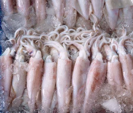 Squid ice. The food preservation techniques.の写真素材