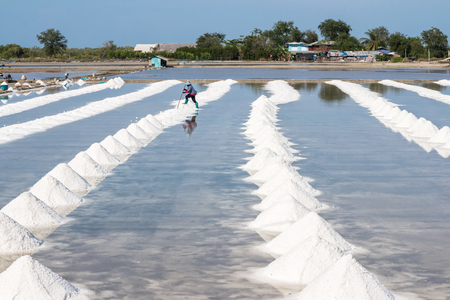 Heap of sea salt in original salt produce farm make from natural ocean salty water preparing for last process before sent it to industry consumer.It is made in Thailandの写真素材