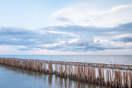 Bamboo Breakwaters for coastal protection, Bang Khun Thian District, Bangkok, Thailand