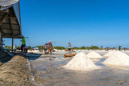 Workers are transporting salt by carrying on the back into the barn.Salt farming using sunlight in...