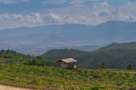 Hut in north Thailand. Pa Bong Piang rice paddy field in Chiang mai Thailand.の写真素材