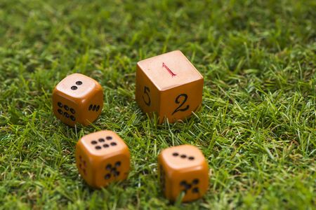 Dice cube on grass background, Macro, Sensitive focus, This dice by handmadeの写真素材