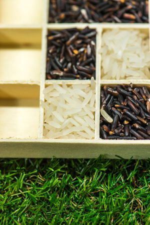 Jasmine rice black rice and white rice in a little box on grass, Sensitive Focusの写真素材