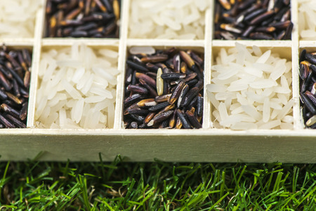 Jasmine rice black rice and white rice in a little box on grass, Sensitive Focusの写真素材