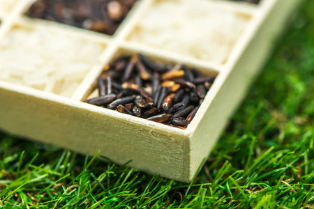 Jasmine rice black rice and white rice in a little box on grass, Sensitive Focus