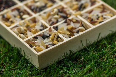 Variety of healthy grains and seeds in a wooden box mostly gluten free with rice, Sensitive Focusの写真素材