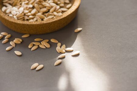cantaloup seeds on gray background, sensitive focusの写真素材