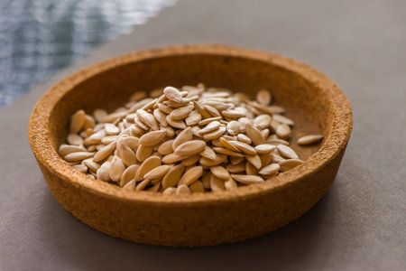 cantaloup seeds on gray background, sensitive focusの写真素材