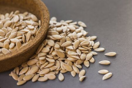 cantaloup seeds on gray background, sensitive focusの写真素材