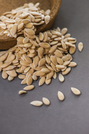 cantaloup seeds on gray background, sensitive focusの写真素材