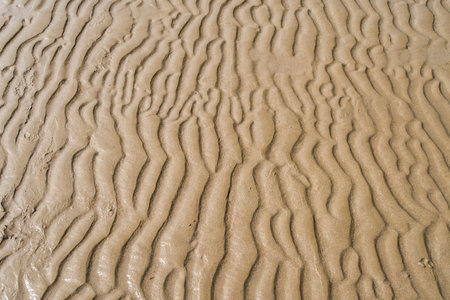 Texture of yellow sand. Beach sand patterns in warm evening sunlight. Straight rows of sand on...