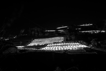 Flower farm on Doi Inthanon mountain in Chiang Mai province of Thailand., Night sceneの写真素材