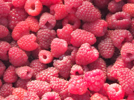A lot of raspberries. The ripe fruits. Harvest. Macro.