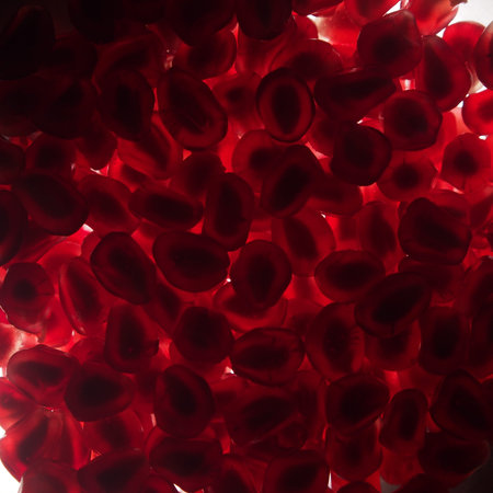 The seeds of the pomegranate. A transparent red pulp of the pomegranate seed. Close-up.の写真素材