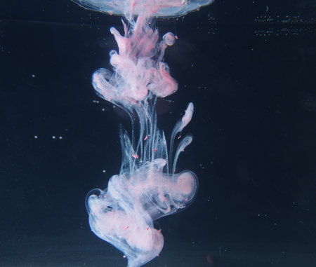 A drop of pink paint dissolves in water. The abstract photograph. Close up.の写真素材