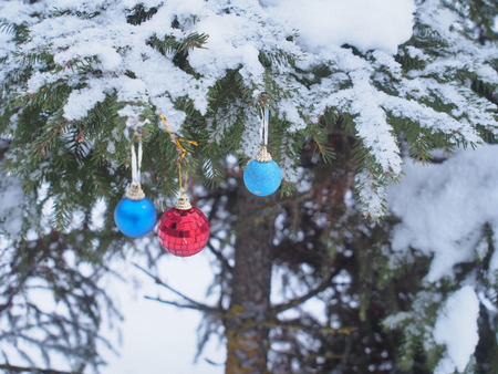 Christmas toys hanging on the branches of spruce covered with snow. New year. Holiday.の写真素材