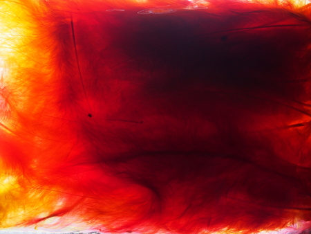 Red, yellow, white, purple feathers. Multi-colored pattern. Abstract background picture.の写真素材