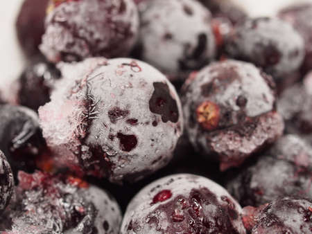 Frozen black currant berries covered in frost. Macro mode.の写真素材