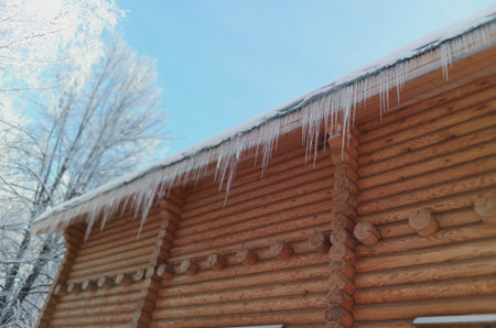 Long icicles hang from the roof of a wooden log house. Cold