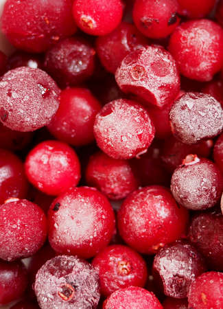 Frozen red cranberry berries, covered with frost. Close-up.の写真素材