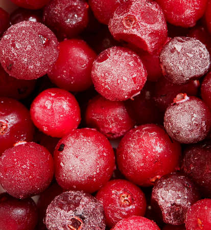 Frozen red cranberry berries, covered with frost. Close-up.の写真素材