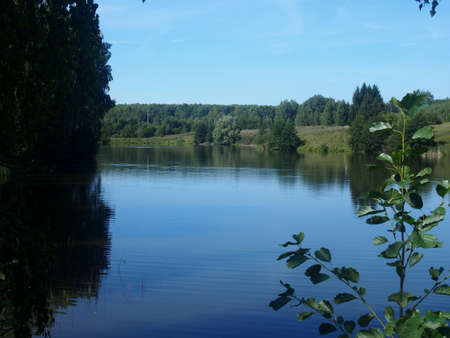 Summer landscape. View of the river, trees, river bank. Nature.の写真素材