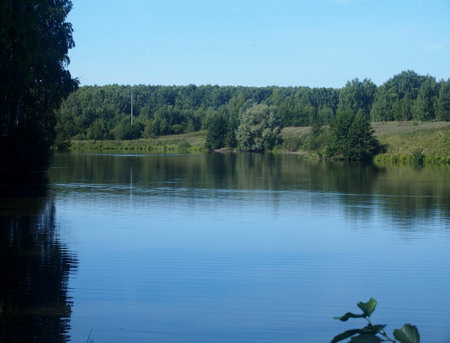 Summer landscape. View of the river, trees, river bank. Nature.の写真素材