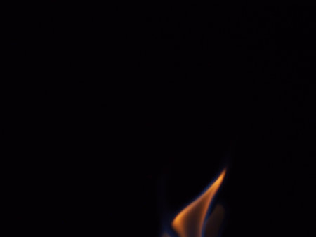 The fire is burning. Flames on a black background. Close-up.の写真素材