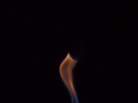 The fire is burning. Flames on a black background. Close-up.の写真素材