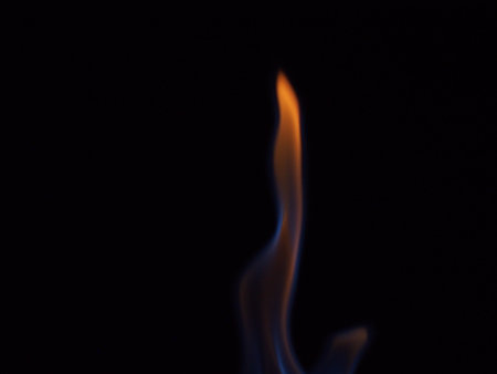 The fire is burning. Flames on a black background. Close-up.の写真素材