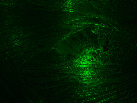 Frosty ice patterns on glass in green light. Texture. Background snapshot.の写真素材