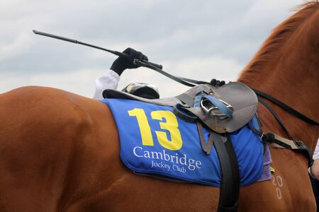 Jockey Mounting Thoroughbred Horseのeditorial素材