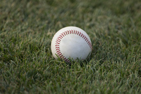A baseball sits on the grass
