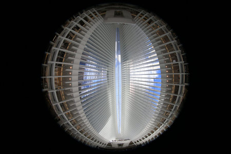 Ceiling of the Oculus mall