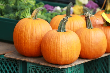 A display of pumpkins on display at a farmers marketの写真素材