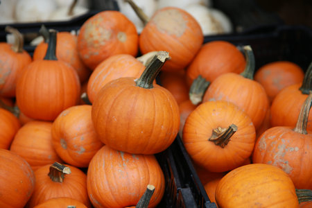 Pumpkins and squash on display at a farmers market