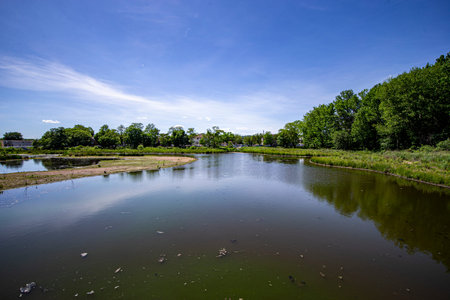 Polluted waters of Staten Island Bluebelt on the south shore. (Photo: Gordon Donovan)の写真素材