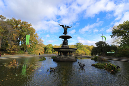 Water streams through the rocks and leaves in Central Park