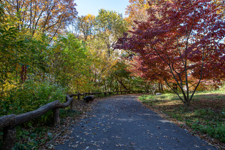 The colorful trees near the Daniel Webster sculpture in Central Park, New York City