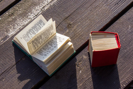 pocket dictionaries, language learning in my spare time outdoors