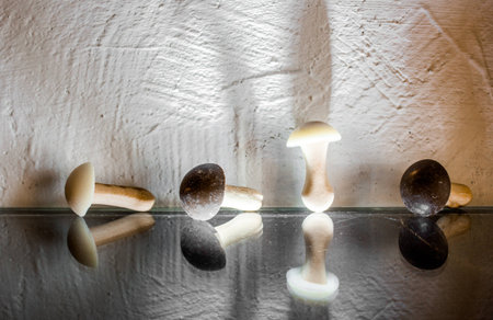 sugar cookies in the shape of a mushroom. hallucinogeniaの写真素材