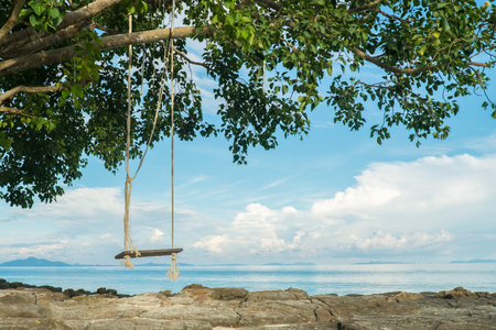 wooden swing board under the tree next to the beach at Phi Phi Island