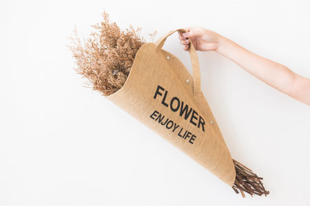 Female hand holding sag of flower in front of white wallの写真素材