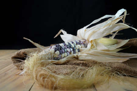 Purple corn on sack and wooden table with black backgroundの写真素材